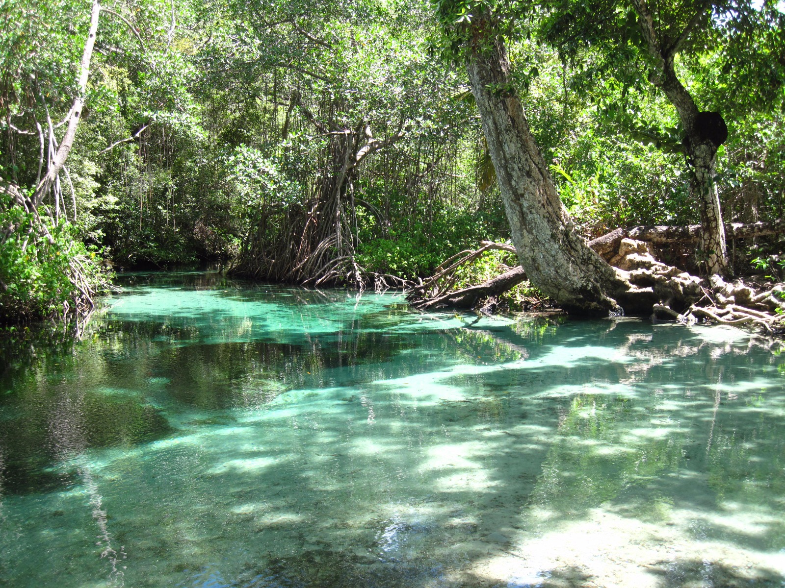 Playa Rincón