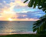 herman i hawaii kaanapali beach