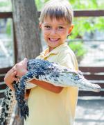 Dreng holder en alligator