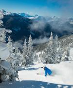 Hitt rätt på berget whistler