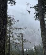 Mount Rainier National Park