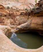 Capitol Gorge