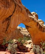 Capitol Reef Hickman Bridge 