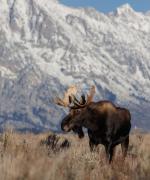 Grand Teton National Park